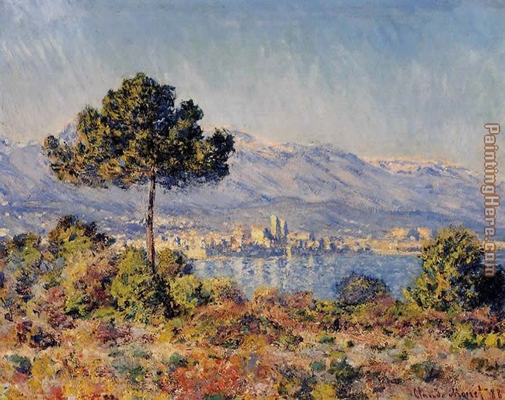 View of Antibes from the Notre-Dame painting - Claude Monet View of Antibes from the Notre-Dame art painting